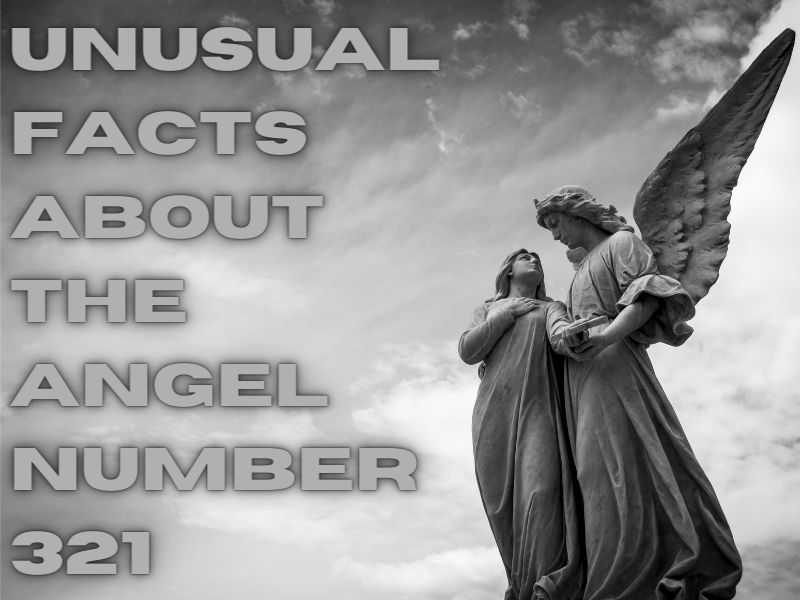 Unusual Facts about the angel number 321