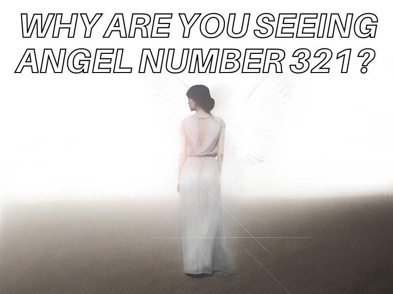 Why are you seeing angel number 321