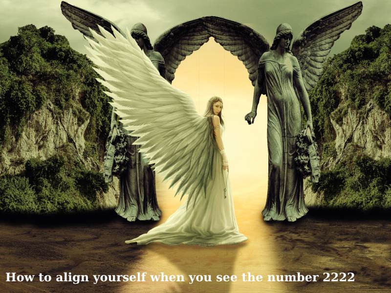 How to align yourself when you see the number 2222