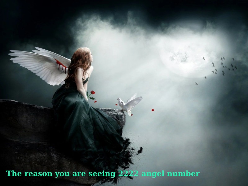 The reason you are seeing 2222 angel number