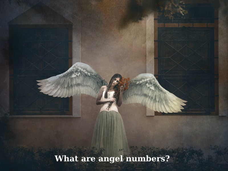 What are angel numbers