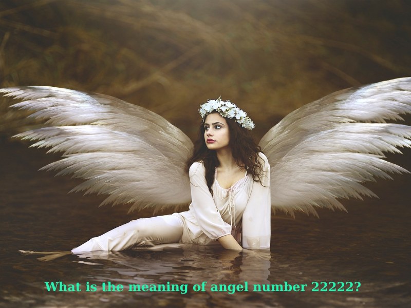 What is the meaning of angel number 22222